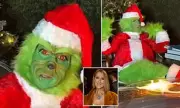 Celine Dion Dresses as The Grinch in Festive Instagram Video Amid Health Battle