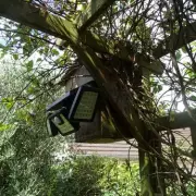 Couple's 25-Year Security Light Sparks Neighbour Dispute After New Build