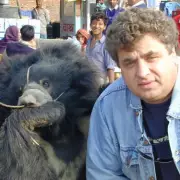 Dancing Bears' 400-Year Horror: Mums Murdered, Teeth Smashed, Alcoholism