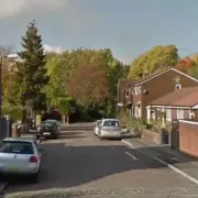 Dead Dog Found in Freezer, 26 Others 'Crammed' in Bedroom: Two Charged