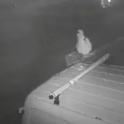 Desperate Search for Missing Wigan Teen, 19, Enters Eighth Day