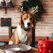 Dog Trainer's Festive Warning: 8 Deadly Christmas Foods for Dogs