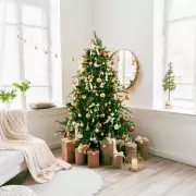 Don't Bin Your Christmas Tree: 5 Garden Mulching Tips for January