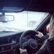 Drivers Risk £5,000 Fine for Unsecured Dogs This Christmas