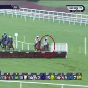 El Cairos' Leopardstown Mishap Sees Cheltenham Festival Odds Slashed