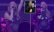 Ellie Goulding's Surprise Miami Show Stuns Days After Baby No. 2 Reveal