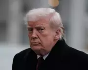 Experts Urge Radical Rethink of European Security Amid Trump and Putin Threats