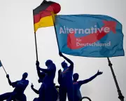 Experts Warn of 'Administrative Fascism' as AfD Support Grows in Germany