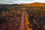 Exploring Australia's Northern Territory: The Landscape That Inspired Emily Kam Kngwarray