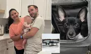 Family Denied Flight Over 'Little-Known' Airline Rule on Infants and Pets