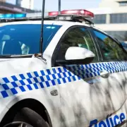 Fatal Dog Attack in Fitzroy Crossing Claims Life of Woman in Her 20s