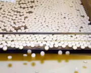 FDA Approves First New Gonorrhoea Drugs in Decades as Cases Hit 82 Million