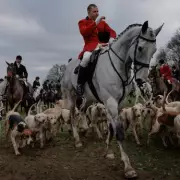 Final Boxing Day Hunt as Labour Moves to Close Fox Hunting Loopholes