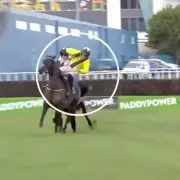 Flanagan's Miraculous Recovery Keeps Marine Nationale in Contention at Leopardstown