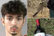 Florida teen beat landlord to death with wine bottle after eviction, sheriff says
