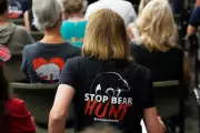 Florida's First Bear Hunt in a Decade Kills 52 Black Bears