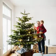 Four Essential Steps to Keep Your Real Christmas Tree Fresh Until Christmas Day