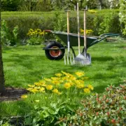 Gardening Expert's 1 Key December Task to Save Your Lawn from Winter Waterlogging