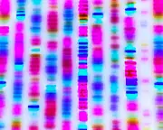 Gene Editing Breakthroughs Demand a New Social Contract, Experts Warn