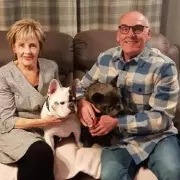 Gogglebox's Dave and Shirley Share Heartwarming Dog Update After Surgery