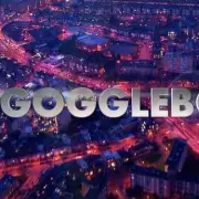 Gogglebox's Lisa & Terry Baggs Renew Vows After 30 Years of Marriage