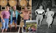 Grape Camp: Wealthy Wine Lovers Pay $5,000 for 'Ultimate' Sonoma Labour Getaway