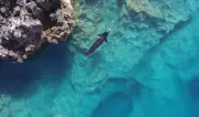 Greece's 500 Monk Seals Face New Threat from Unregulated Tourism