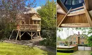 Harry Potter Treehouse Must Be Torn Down After Neighbour Feud on Millionaire's Row