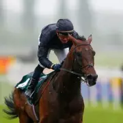Hawk Wing, Aidan O'Brien's Record-Breaking Star, Dies Aged 26 in South Korea