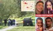 Houston Bayou Deaths: 34 Bodies Found in 2025 Spark Serial Killer Fears
