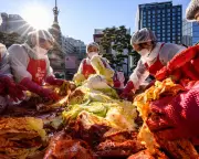 How South Korea's Smart Bins Achieved 96.8% Food Waste Recycling