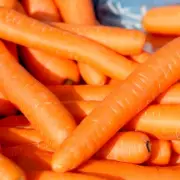 I Tried 3 Carrot Storage Methods: One Kept Them Fresh for 10 Days