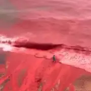 Iran's 'Blood Red Sea' Sparks Biblical Plague Fears After Heavy Rain