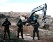 Israeli Forces Escalate West Bank Land Grab, Uproot Ancient Olive Trees