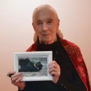 Jane Goodall's Final Act: Adopting Rescue Moon Bear Robinson Before Her Death