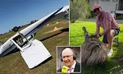 Jonathan Agnew's Ashes Flight Drama: Plane Flipped in Australian Storm