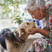 Key DWP Benefits for Over-65s Needing Daily Care: A Guide to Financial Support