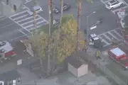 LA Tree Trimmer Dies After 35-Foot Fall Onto Iron Fence