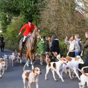 Labour Closes Fox Hunting Loophole as Public Polices Illegal Hunts
