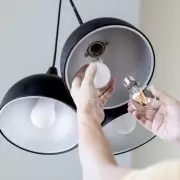 LED Bulbs Pose 'Asbestos-Level' Health Risk, Warns Top London Neuroscientist