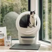 Litter-Robot 4 Cyber Week Deal: Save £80 on 'Life-Changing' Self-Cleaning Litter Box