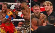 Logan Paul's Ringside Taunts Fail to Stop Joshua's Brutal KO of Jake Paul