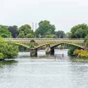 Man, 58, confesses to throwing kittens into Thames from Twickenham Bridge