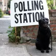 Mayoral Elections for Four English Regions Delayed Until 2028, Sparking 'Democracy Denied' Row