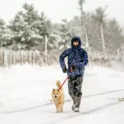 Met Office Christmas Forecast: Temperatures Plummet, Snow Flurries Possible