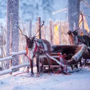 Met Office Christmas Forecast: White Christmas Odds 'Relatively Low' for 2025