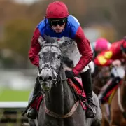 Newsboy's Monday Racing Tips: Scorpio Rising Napped for Newbury Glory