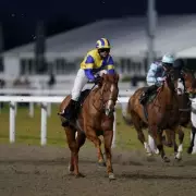 Newsboy's Thursday Racing Tips: Uncle Don Napped at Chelmsford