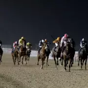 Newsboy's Tuesday Racing Tips: Teardrops Targets Newcastle Hat-Trick