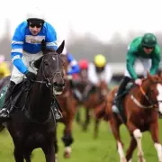 Newsboy's Wednesday Racing Tips: Kadastral Napped to Shine at Newbury